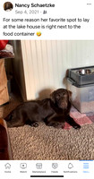 Best spot in the house