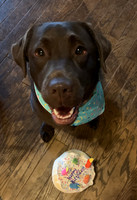 First birthday!
