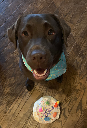 First birthday!