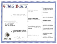 CedarPedigree_2023-10-05