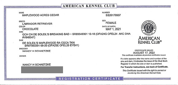 AKC_Registration_Cedar