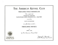 Cedars AKC Trick Novice