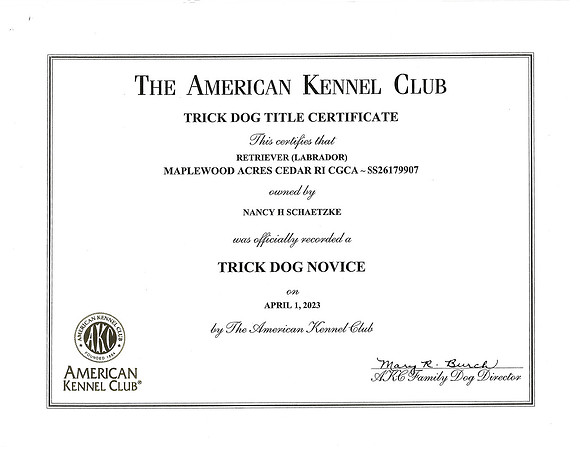Cedars AKC Trick Novice