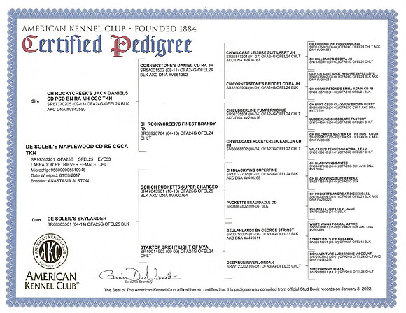Maples 2022 pedigree