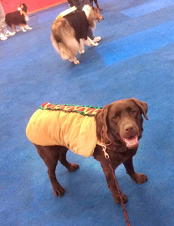 Who ever heard of a Maple hot dog?