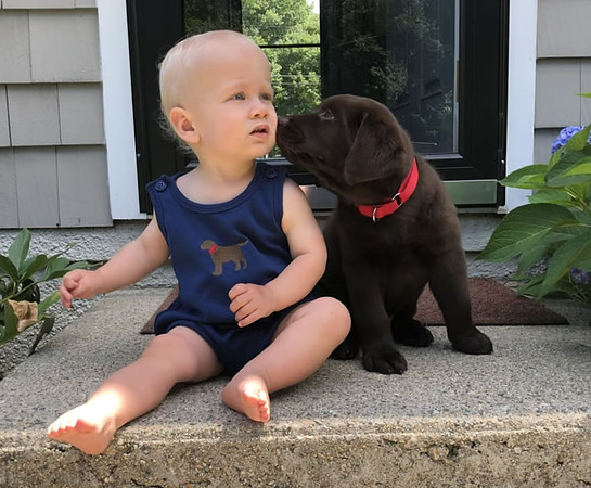 Rooney2020_gray