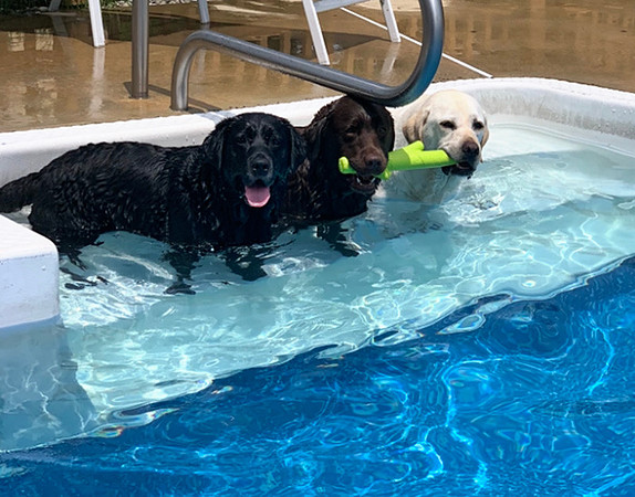Pool time!