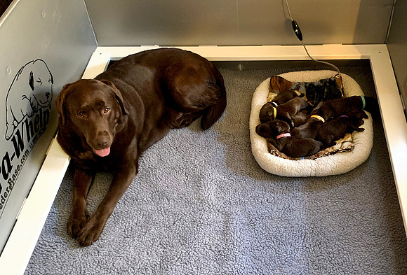 First time Mom!